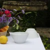 Bol En Porcelaine De Limoges