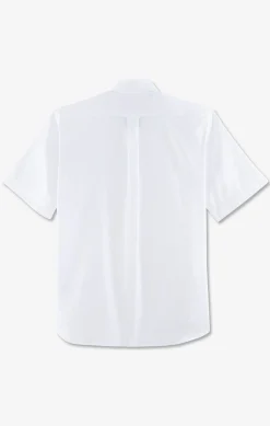 Chemisette Blanche Unie En Coton